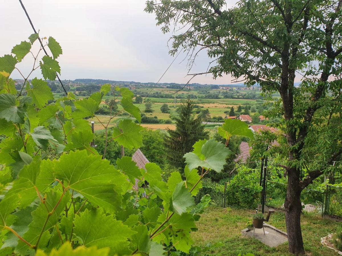 Holiday Home Draskica Oroslavje Екстериор снимка